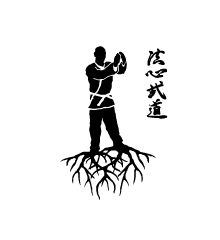 Hoshin Jutaijutsu Belt Manual DVDs